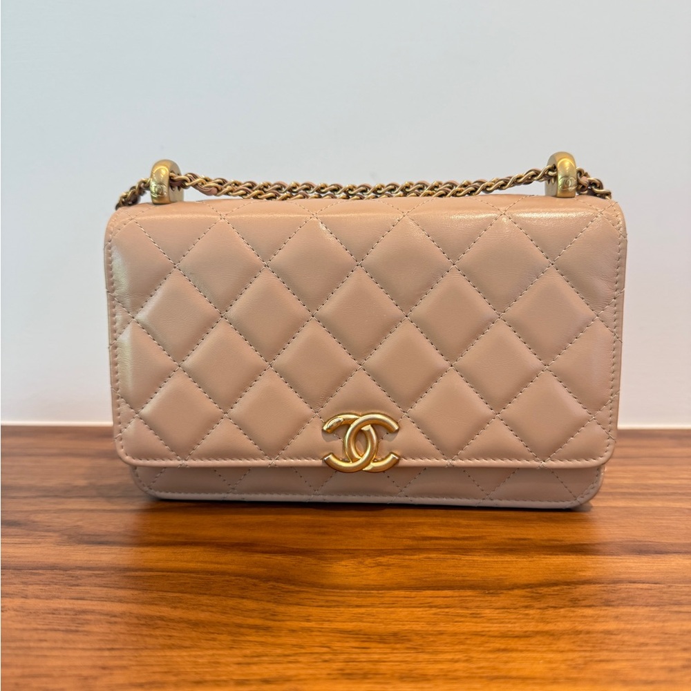 CHANEL Nude Perfect Fit Quilted Crossbody Bag with Gold